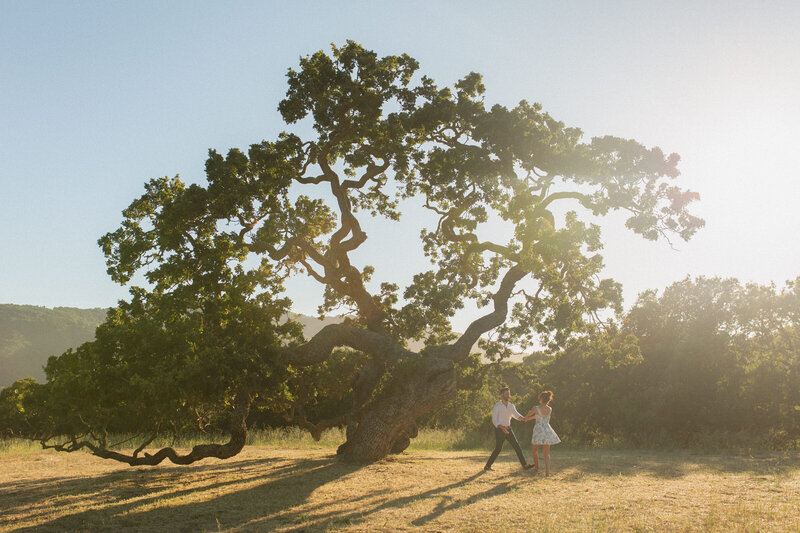 homan_ranch_carmel_valley_proposal-160