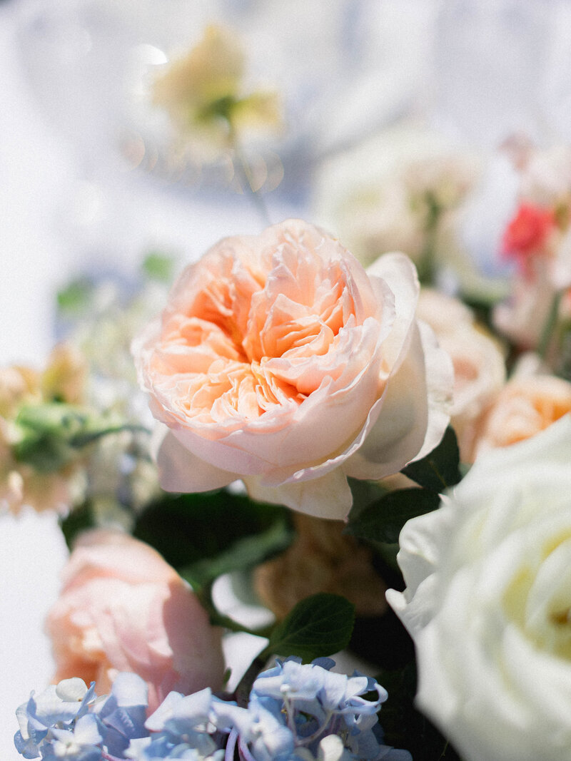Meredith and Corbin - Tay Danay Photography - #-33