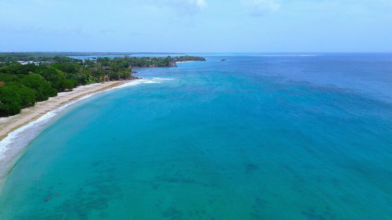 Aerial view of a turquoise Caribbean coastline with palm-lined beaches