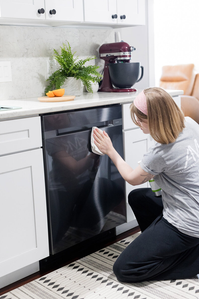 Professional cleaner wiping down dishwasher