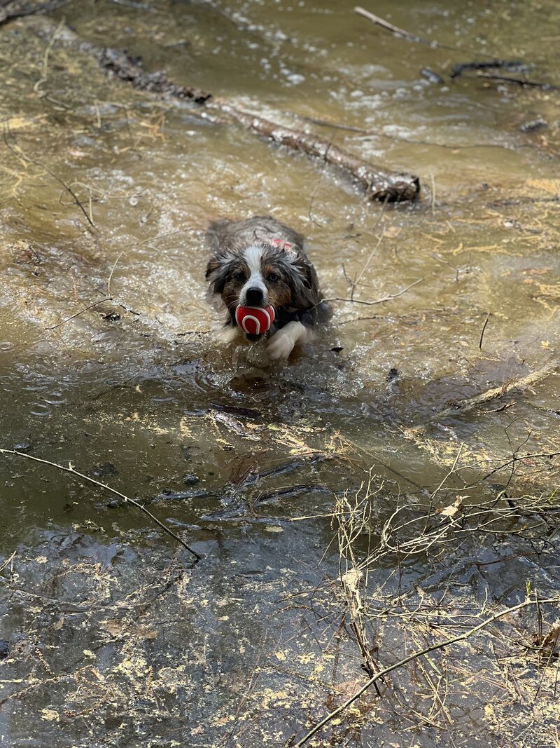Creek fetch