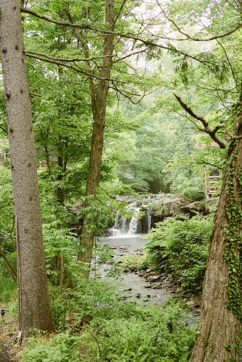 bo_shim_new_york_fine_art_luxury_wedding_editorial_photographer_wedding_hayfield_upstate-7