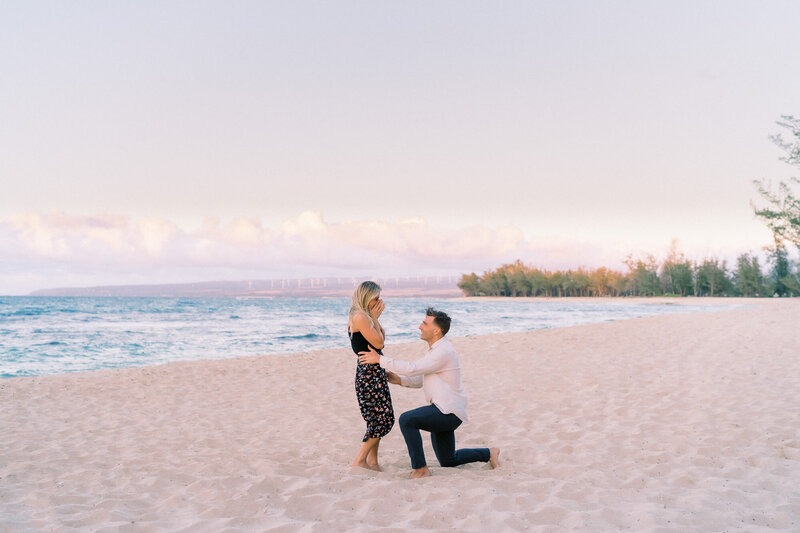 Oahu surprise proposal photographer
