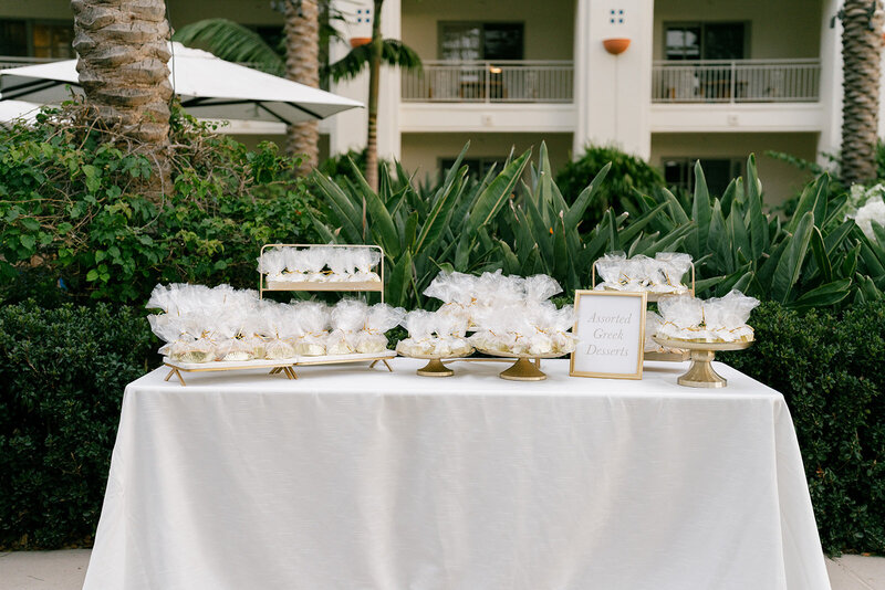 roula and wilder 09152024_erica streelman photographer-1004