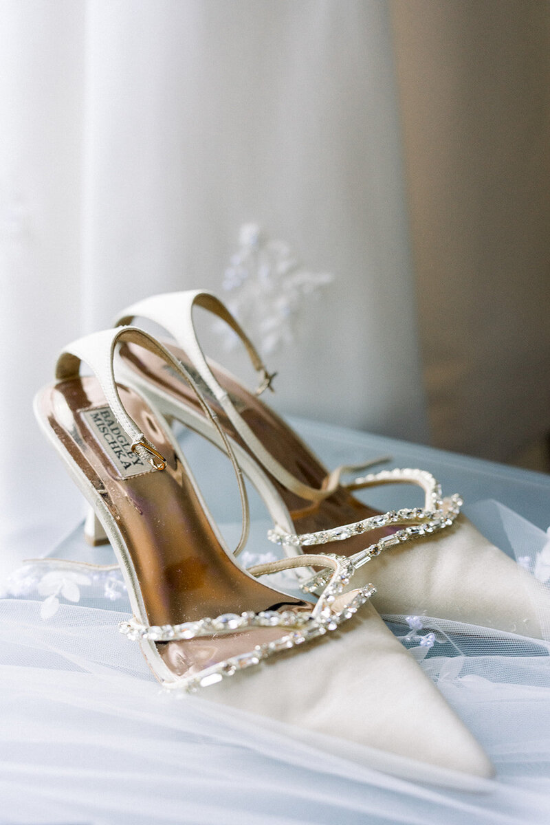 chicago wedding photographers