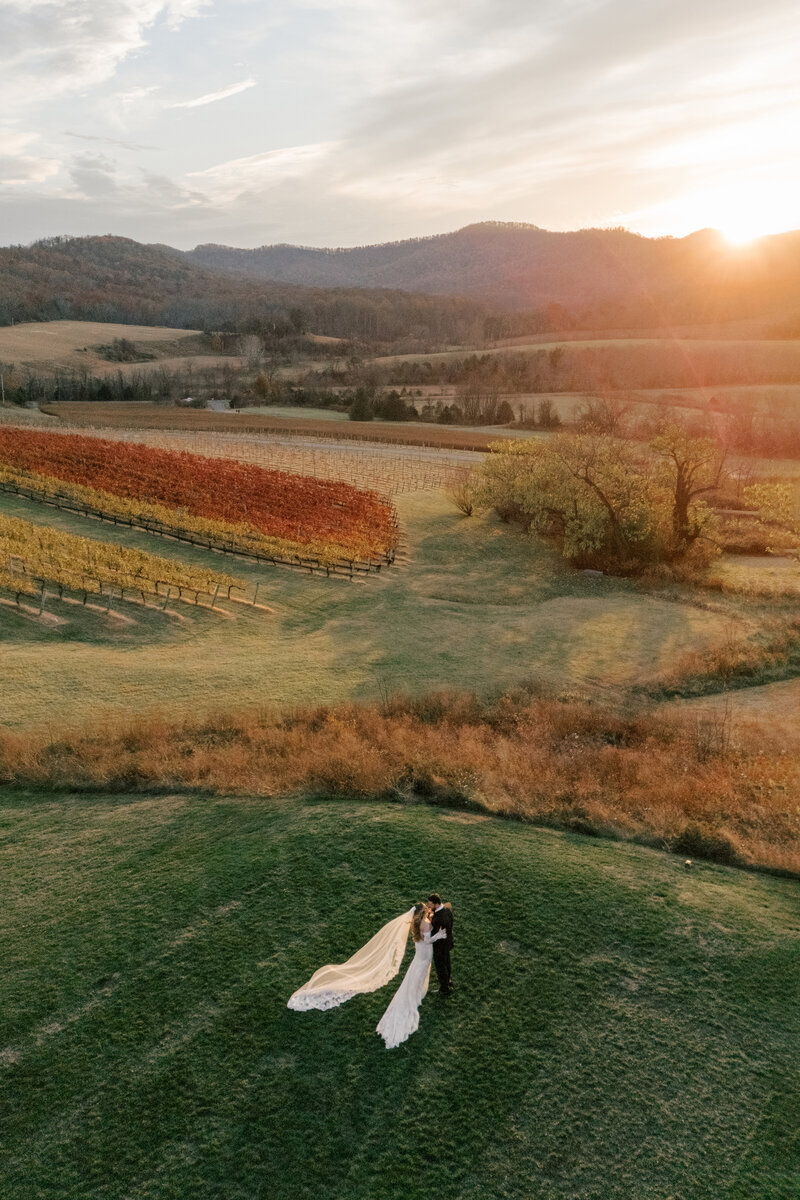 Pippin Hill Wedding Photos Virginia Photographer 