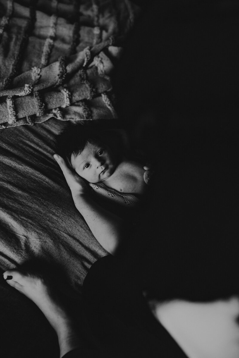 rex newborn41