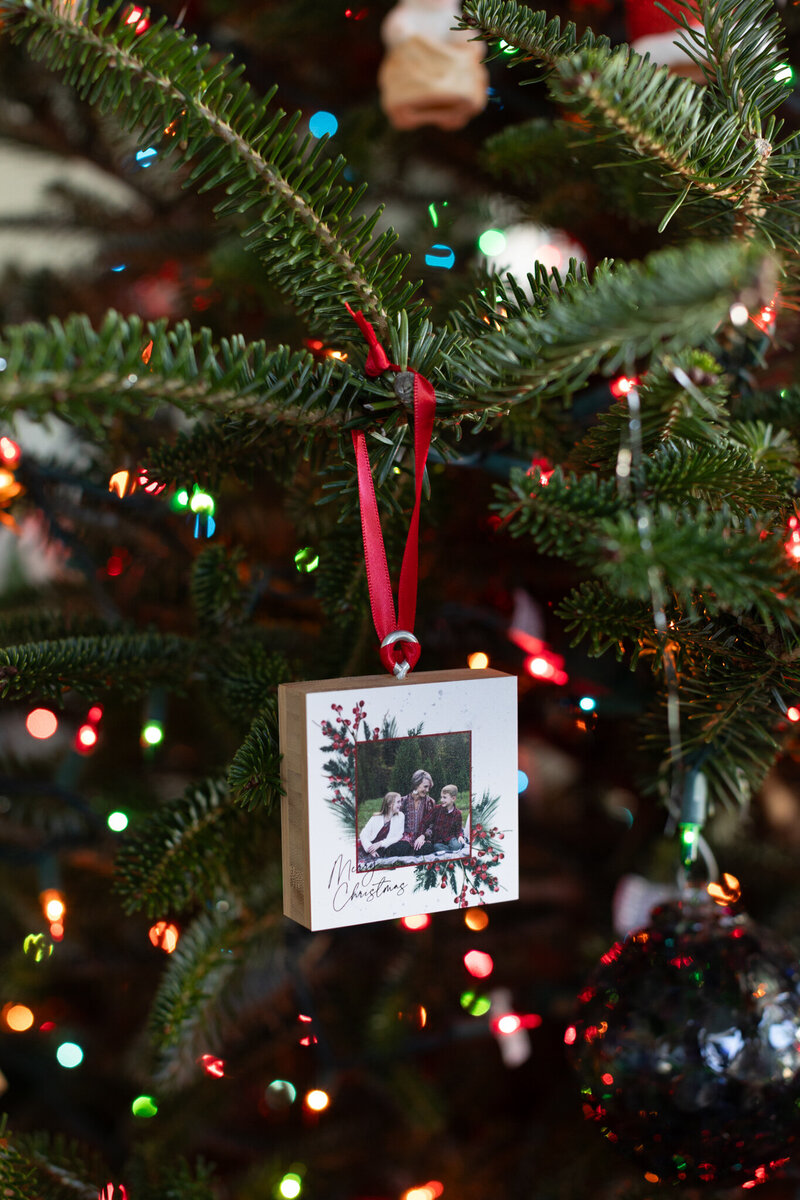 LightCreative_202312_RaleighChristmasTreeFarmPhotos_ChristmasCards_BambooOrnaments_003