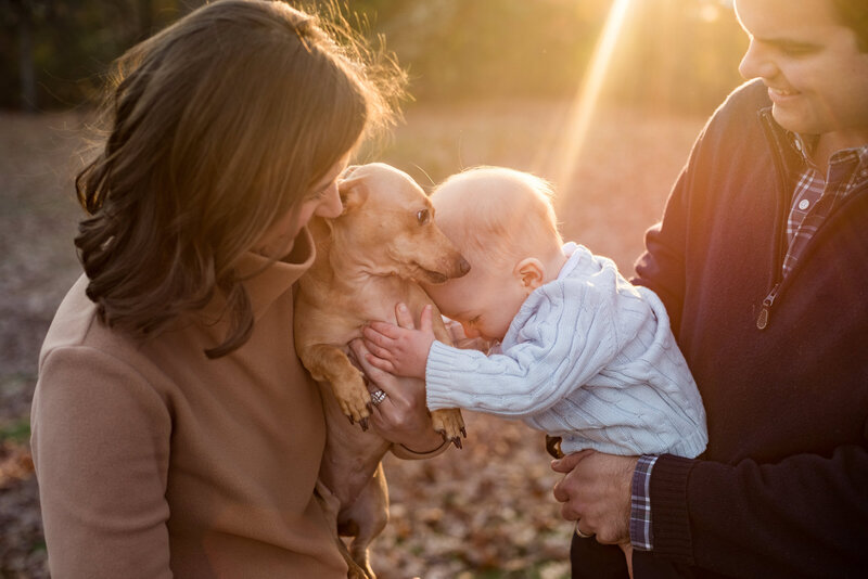 Boy embraces pet dog during family photoshoot