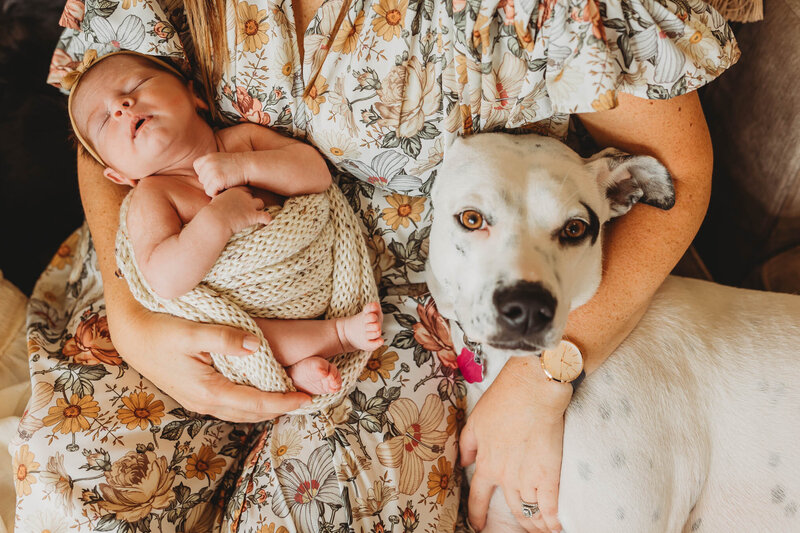 harrisburg-lifestyle-newborn-photographer-24