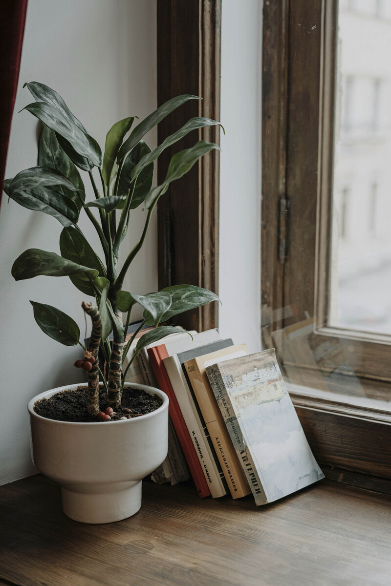 Corner of counseling office with plant and books