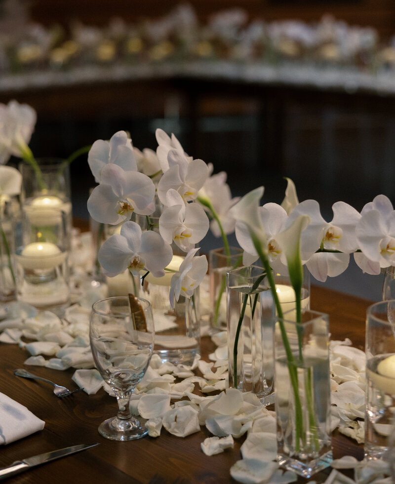 Maddie Briggs Photography-177