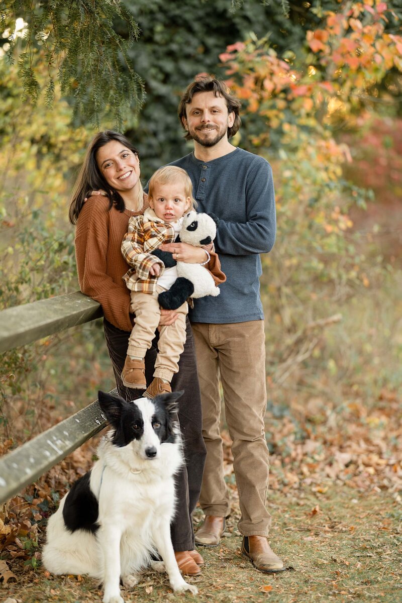 Fall family portrait of a mother, father, toddler boy, and border collie next to a wooden fence and vibrant autumn foliage