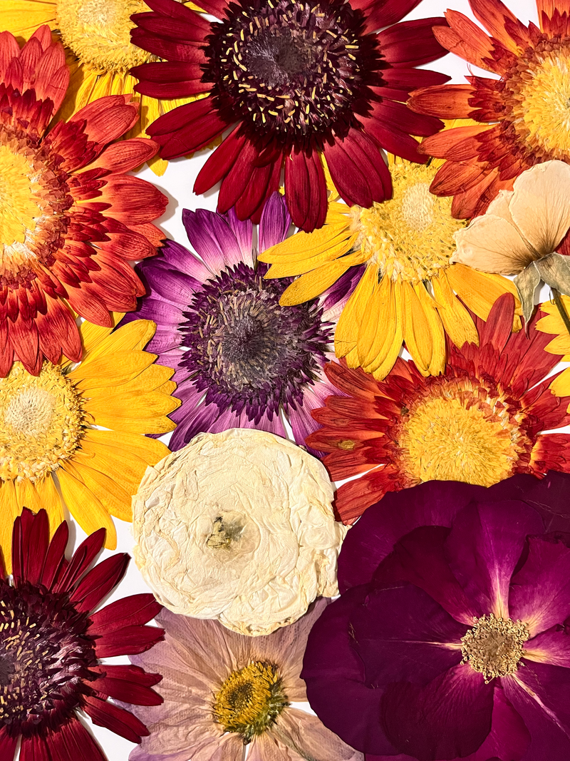 Multicolored pressed florals created from wedding bouquet.