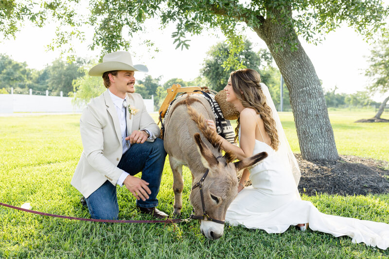 Willowynn-Barn-Wedding-Photographer-37