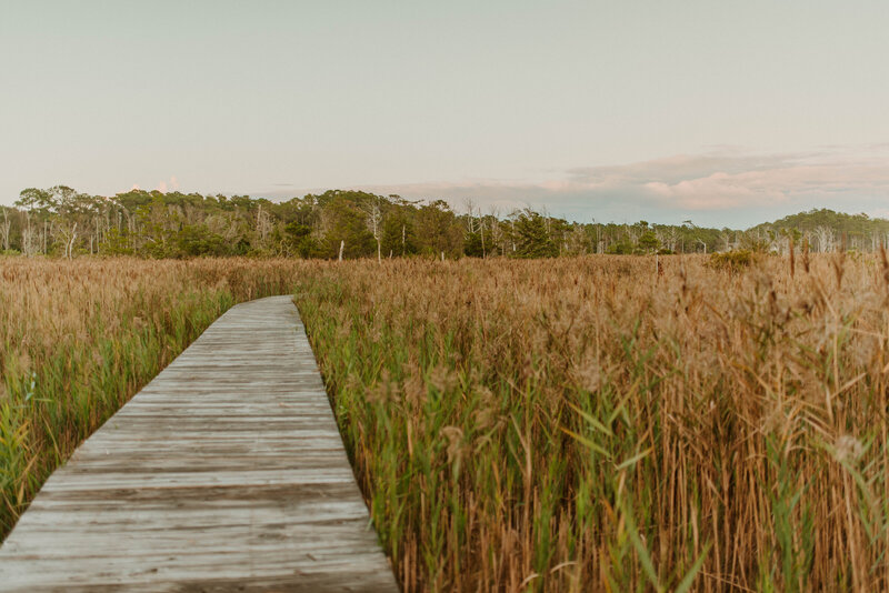 manteo marsh-1