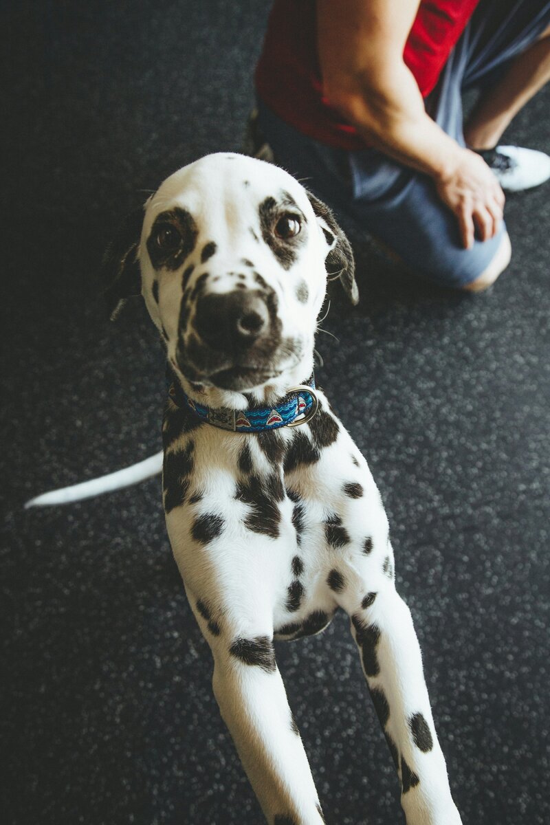 alora-griffiths-7aRQZtLsvqw-unsplash