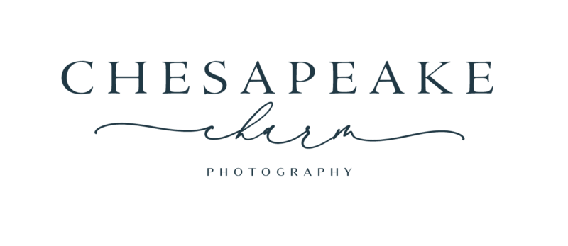 chesapeake logo [Recovered]-06
