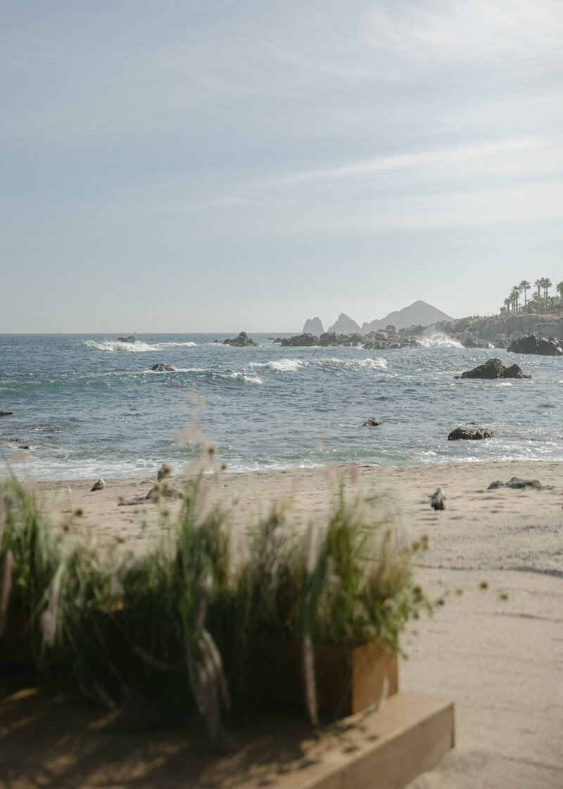 cabo-wedding-Holly Clark Photography -491