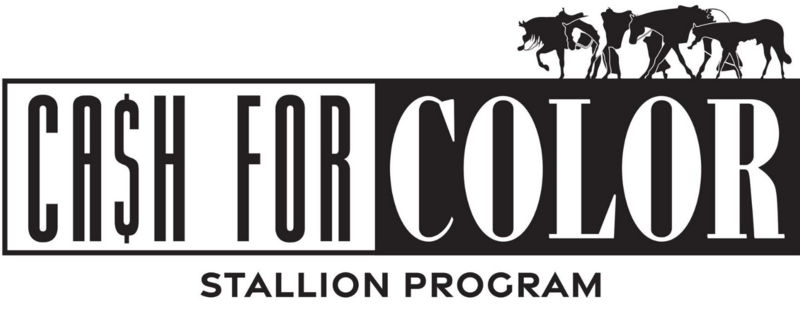 cash for color stallion program logo