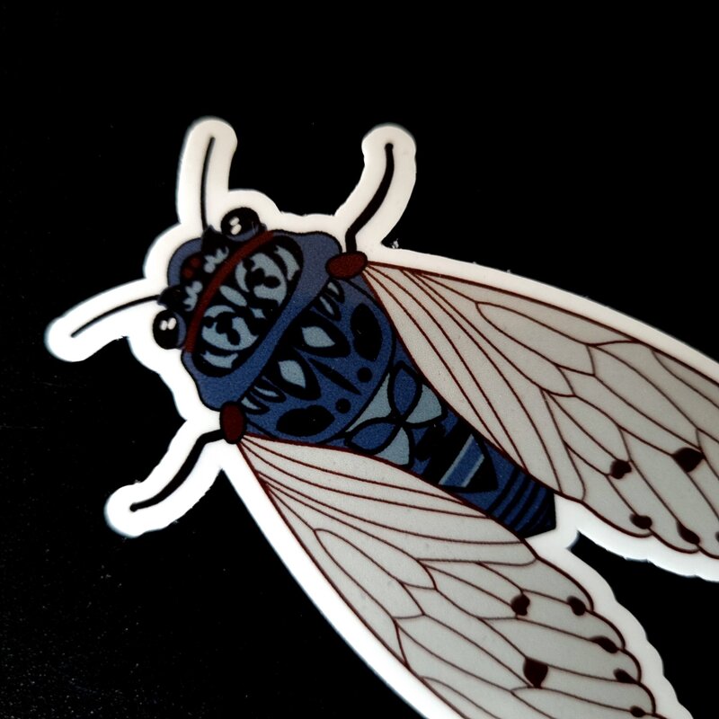 Add a bit of natural charm to your world with this 75mm cicada sticker. Crafted from high-quality vinyl with a weatherproof, scratch-resistant finish, it’s perfect for both indoor and outdoor use. Stick it to your laptop, journal, toolbox, or drink bottle—this durable little bug will hold strong while showing off your love of nature and beautifully detailed design.
