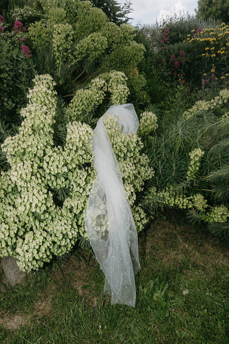 alex-vasya-wedding-preview-175