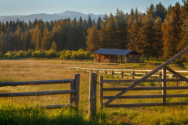 Home  Paradise Guest Ranch