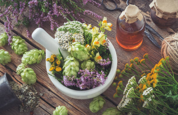 istockphoto-1030030506-612x612