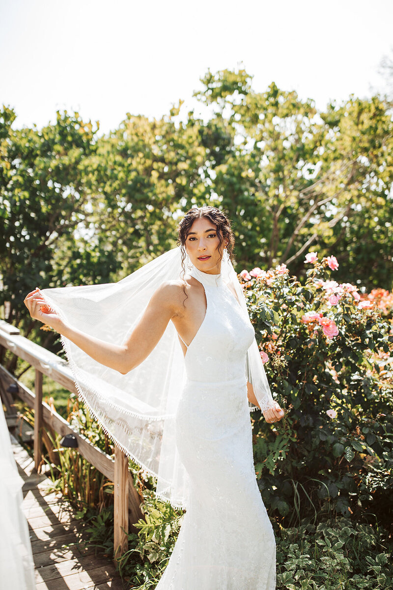 A bride lifts her veil up with one arm so that the sun shines through it with pink roses surrounding her. 