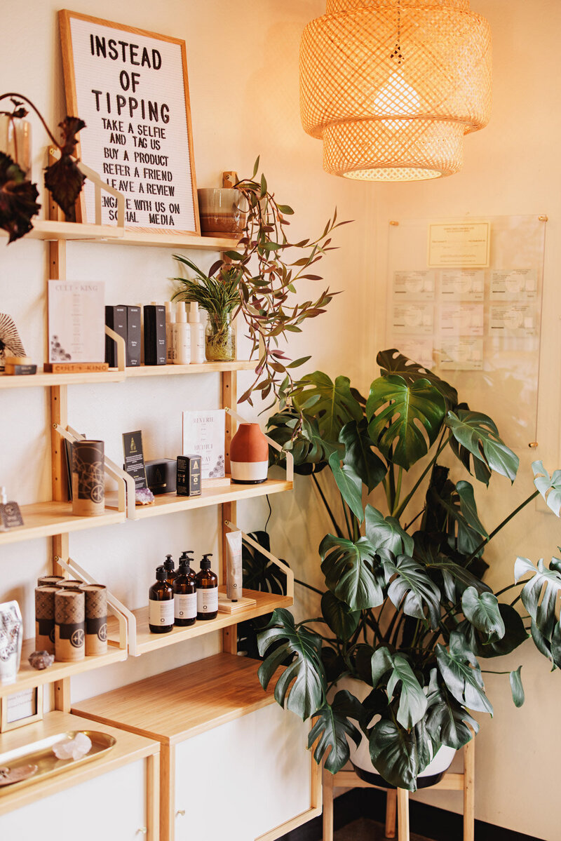 A corner of a hair salon featuring a monstera plant and a wooden shelf with hair care products representing products used by craft hairdressers at the The Collective.