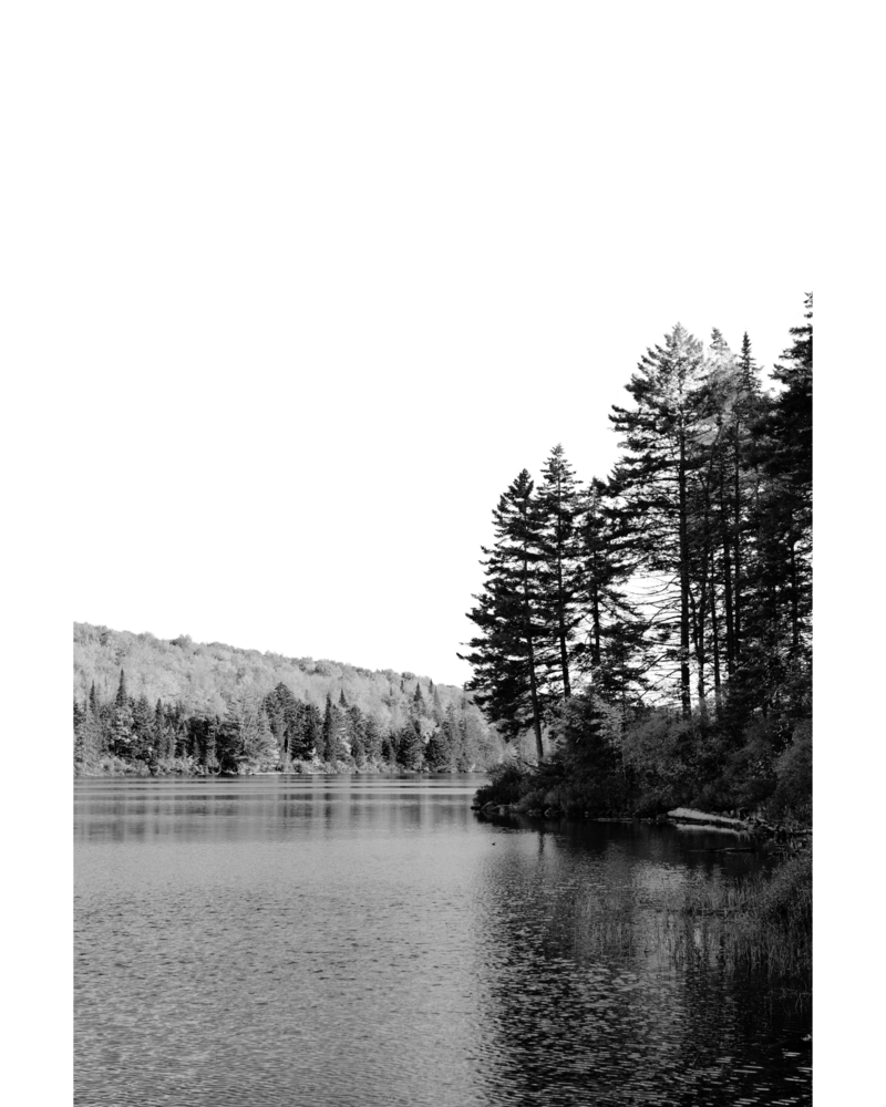 Black and white image of a Vermont lake with trees showcasing that Femme Collective is located in the beautiful northeast but serves clients worldwide