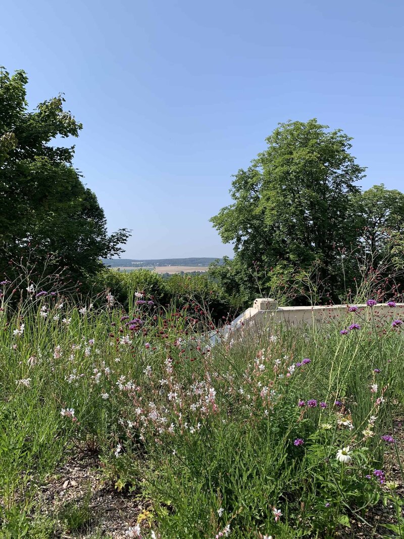 Horus-Paysages-architecture-paysagiste-concepteur-jardin-yvelines-normandie-provence-cote-azur-431