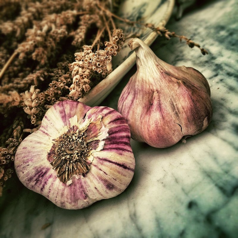 lobostudio-hamburg-33674-unsplash