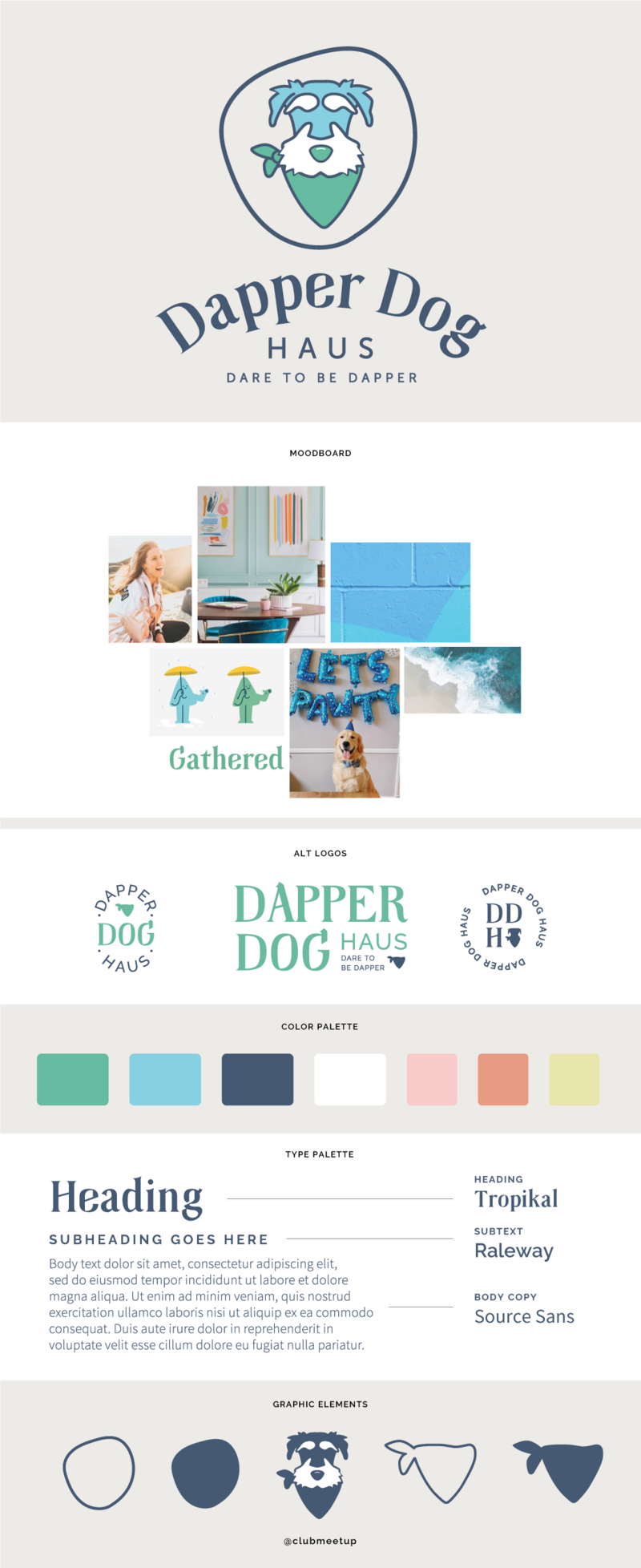 Brand guidelines with logos, colors, typography, graphic elements, mood board