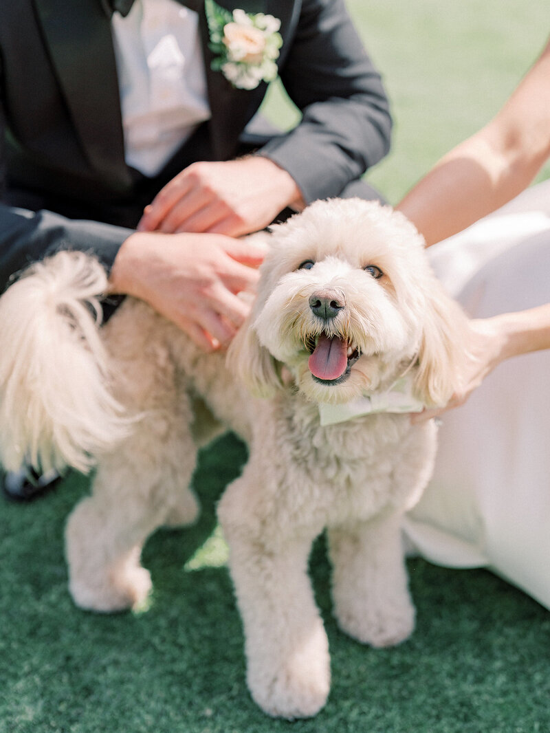 the ranch at laguna beach weddings - CMP-384