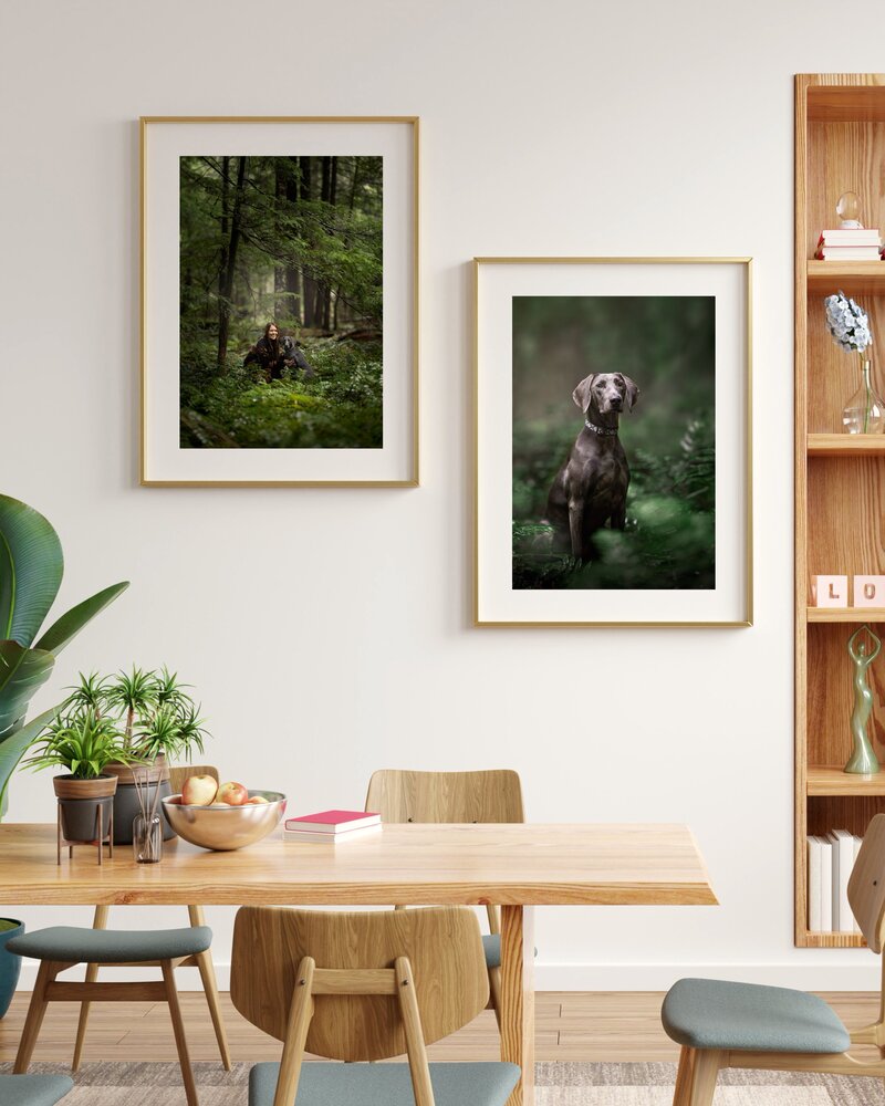 dog wall decor