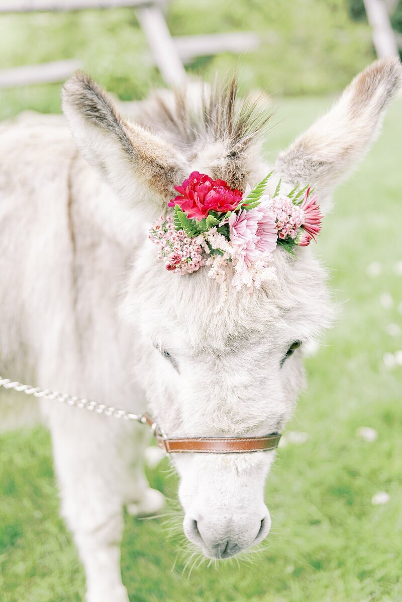 lambs-hill-micro-wedding-elopement-beacon-hudson-valley-30