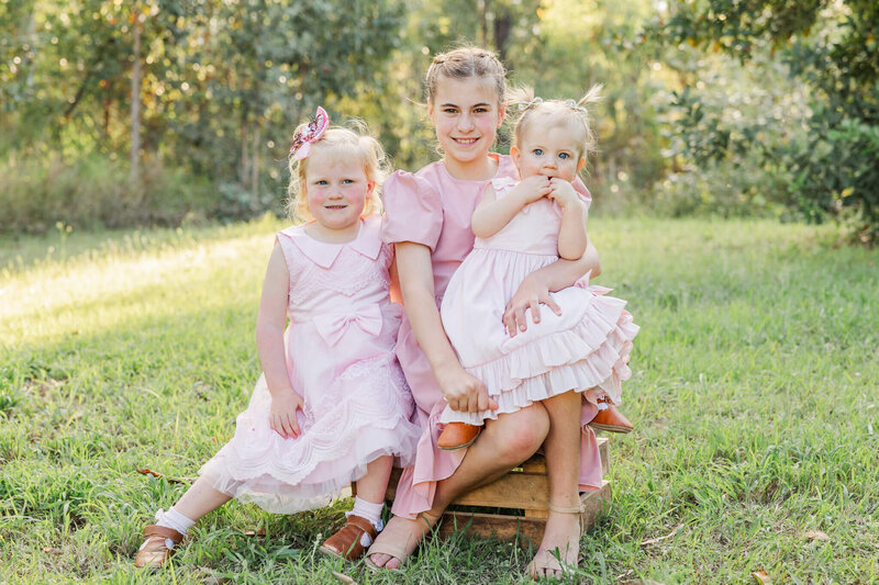 Three little girls dressed in pink stylish dresses while sitting on brown crate in a small orchard setting. One little girl is seated on the lap of the oldest girl.
