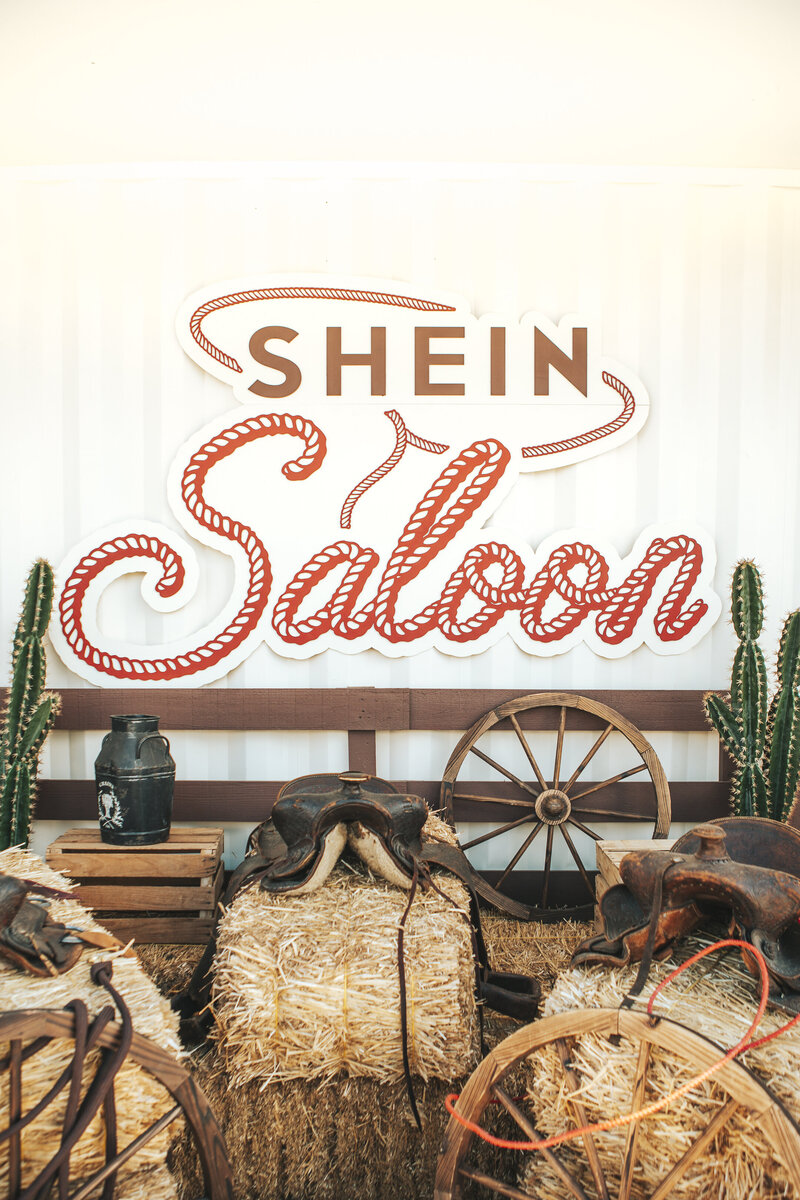stagecoach_mmeyer-07082