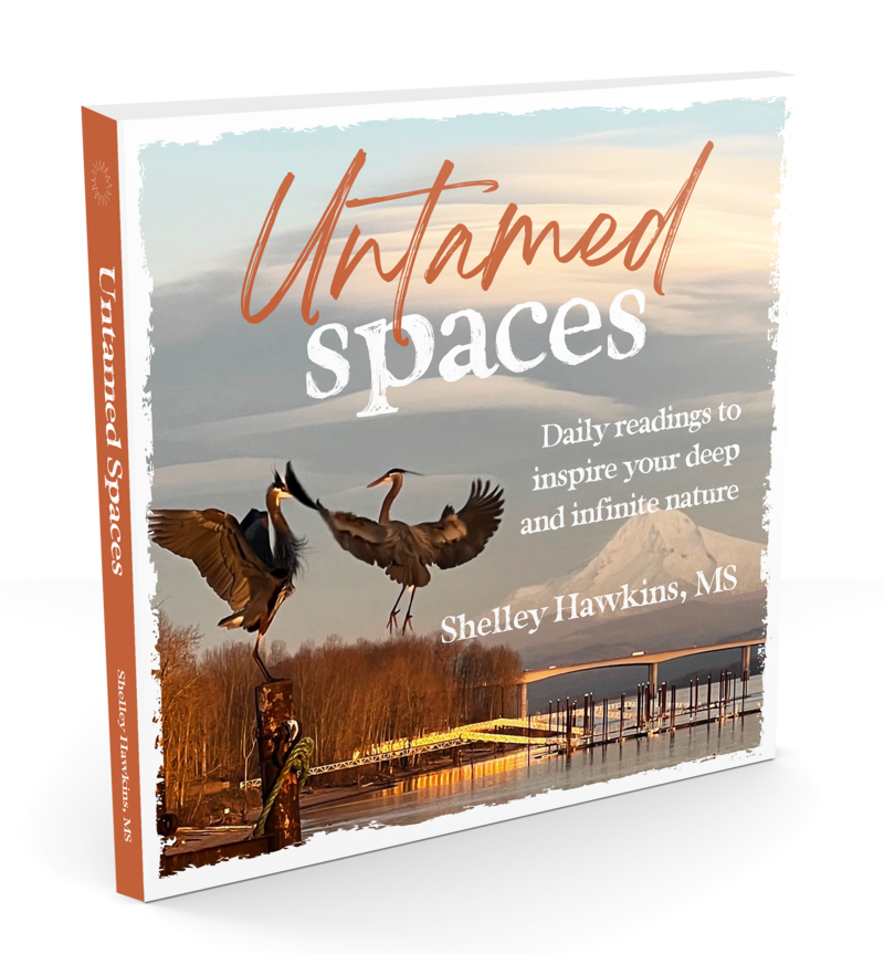 Find Financial Freedom AND be  fulfilled in every area of life