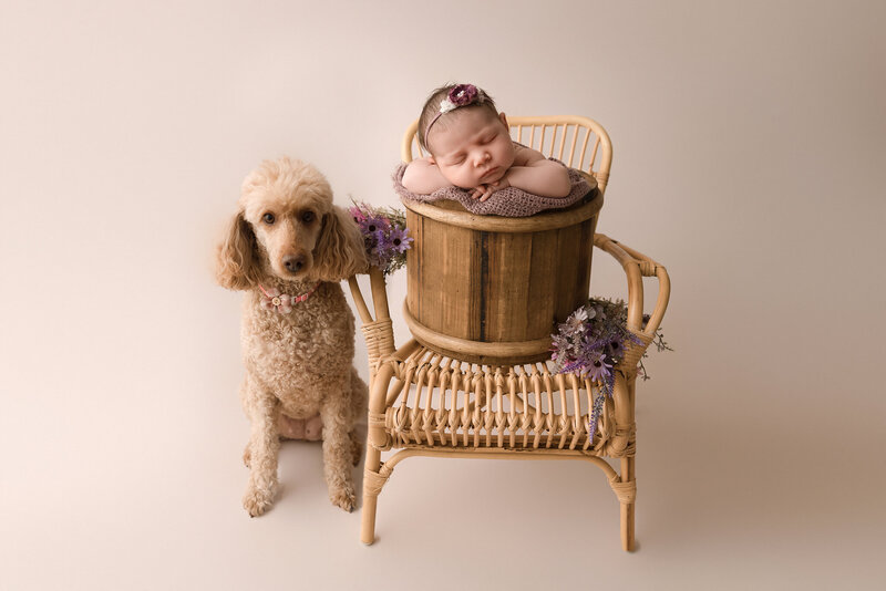 Melbourne-Newborn-Photographer151