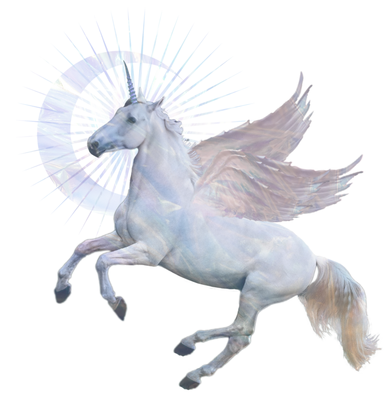 White Flying Unicorn Representing Animal Communication Course
