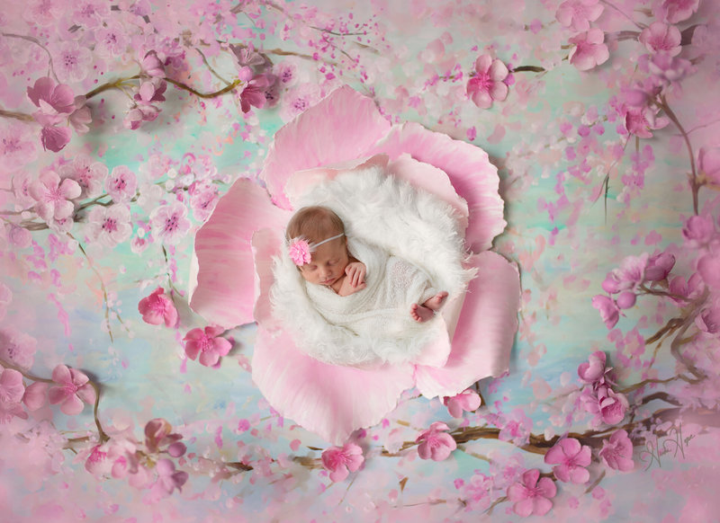 cherryblossomdigitalbackdrop