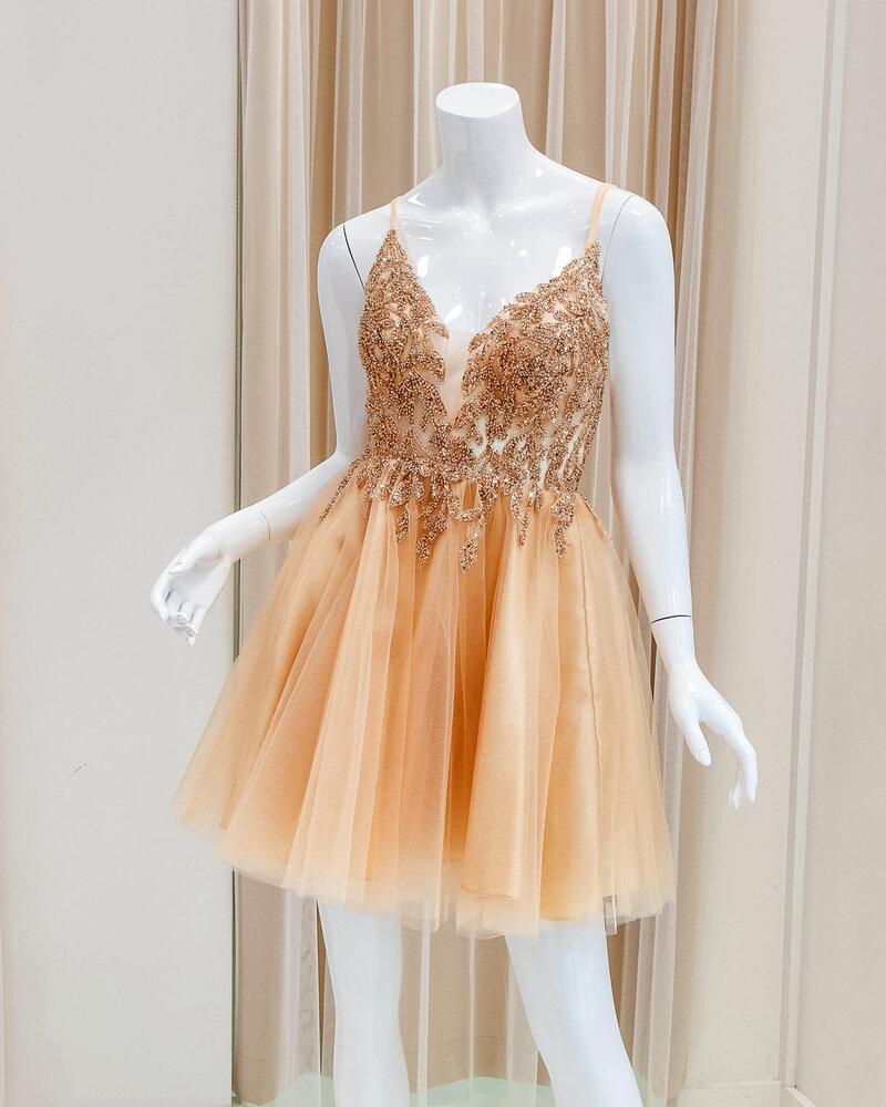 Aideen-Fit-and-Flare-Dress-in-Champagne (1)-2