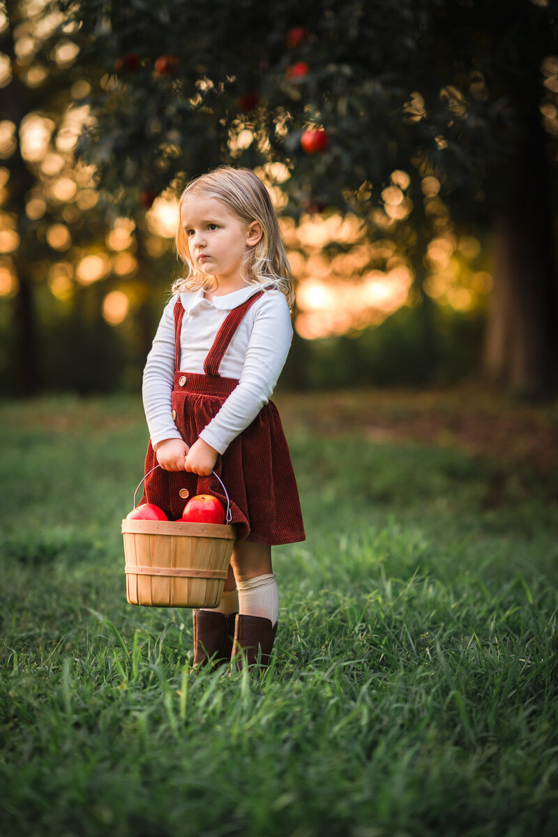 A young girl is holding a basket of apples as she stands in an apple orchard.