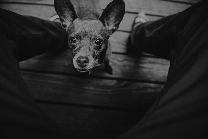 craig-philbrick-369142-unsplash