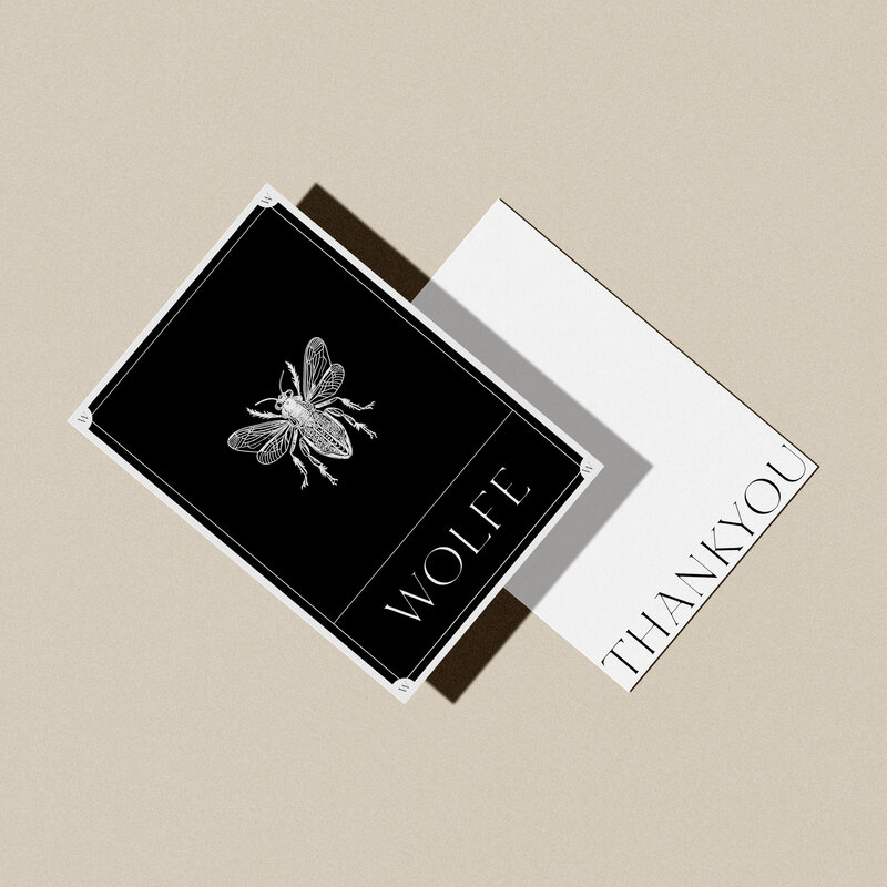Modern branding package for a fashion boutique with a bold and sexy vibe, including logo and packaging design.