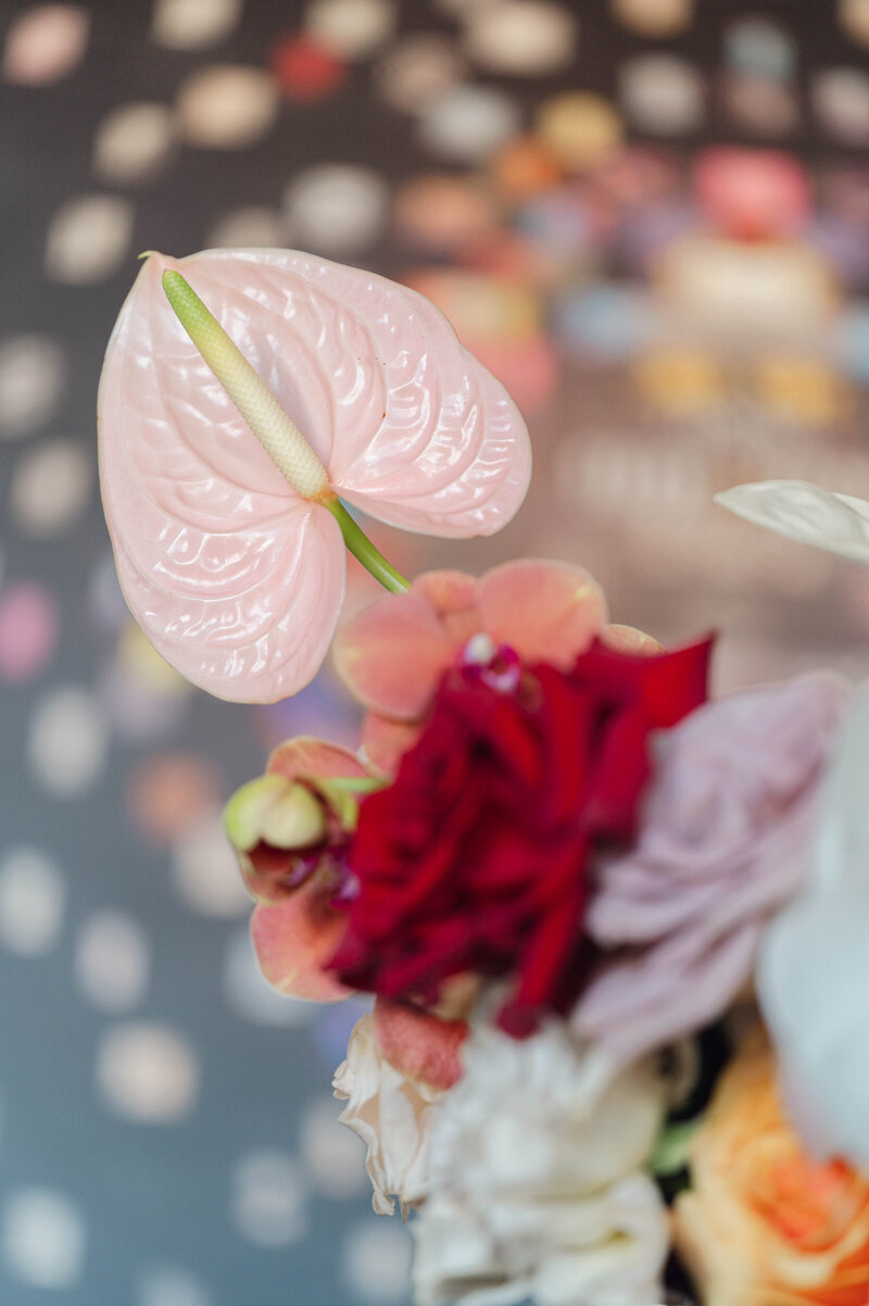 VegasWedding-30