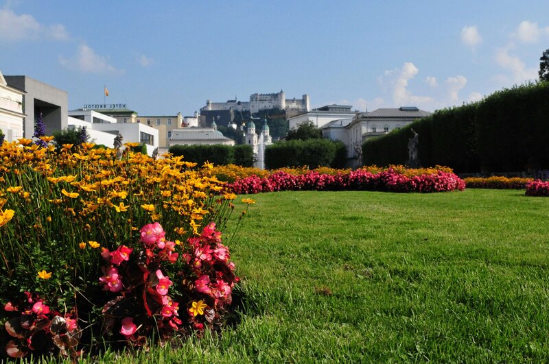 Green lawn with yellow and pink flowers