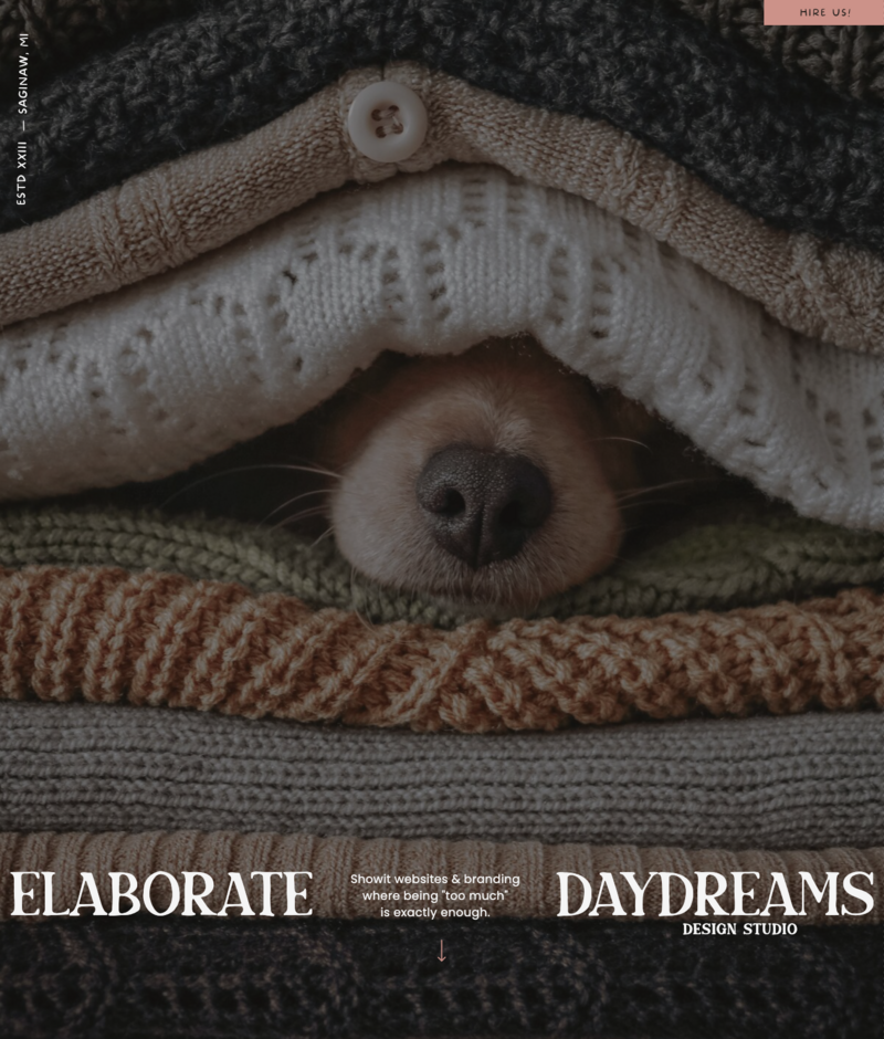 Tablet screen displaying a website; close-up of a stack of folded knit blankets with a dog’s nose peeking out from a gap, branding ‘Elaborate Daydreams’ overlaid at bottom.